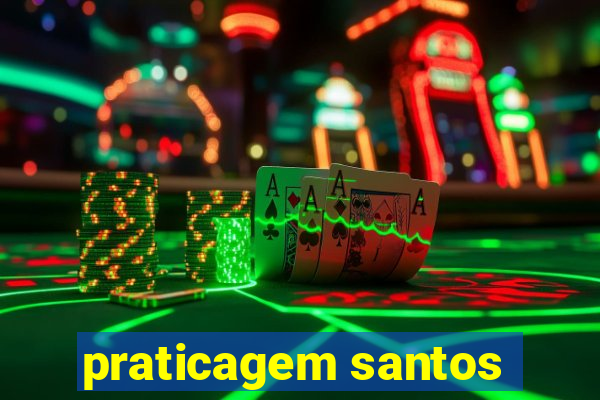 praticagem santos